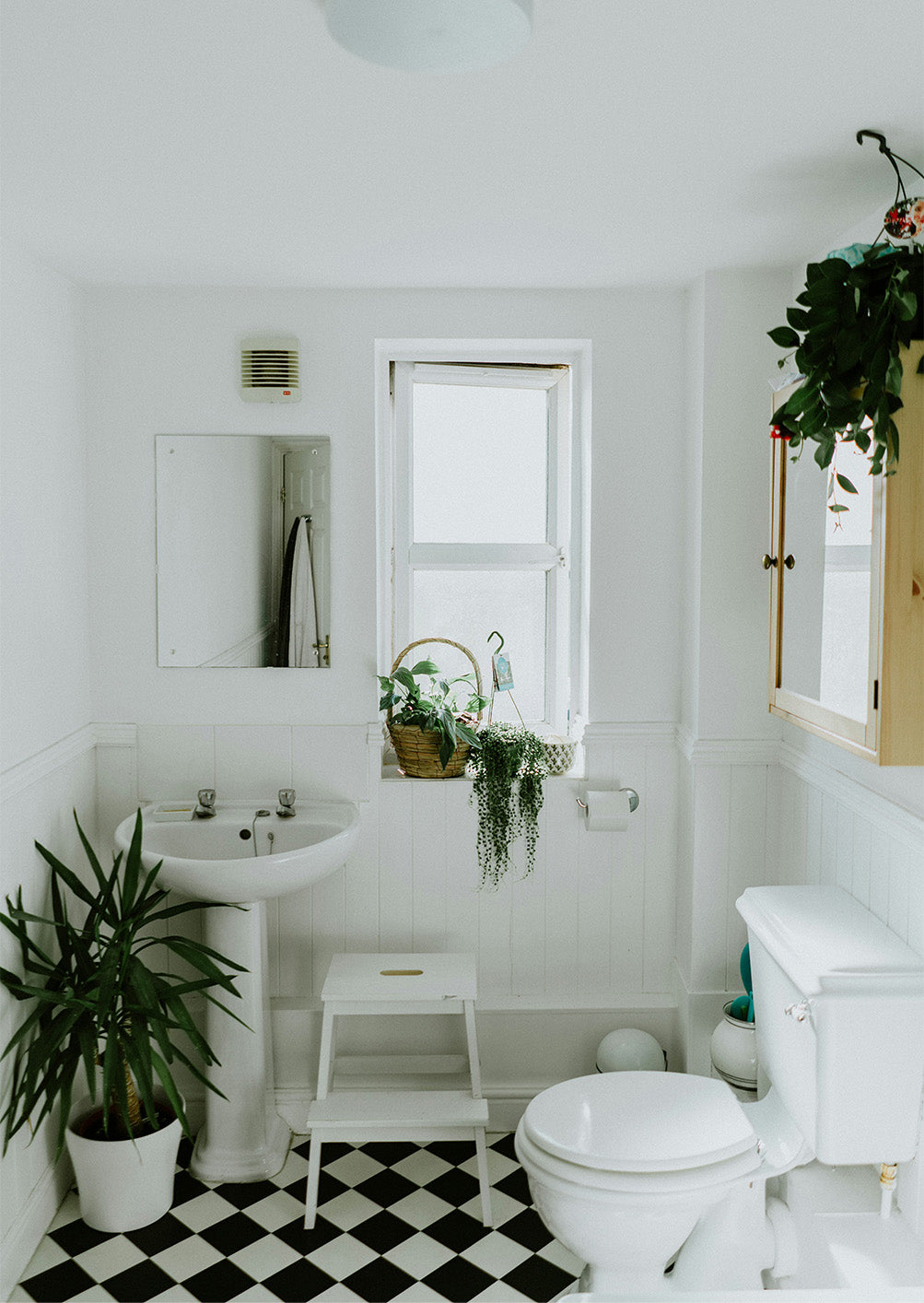 Comparing Traditional vs. Viral Toilet Cleaning Hacks: What Really Works?