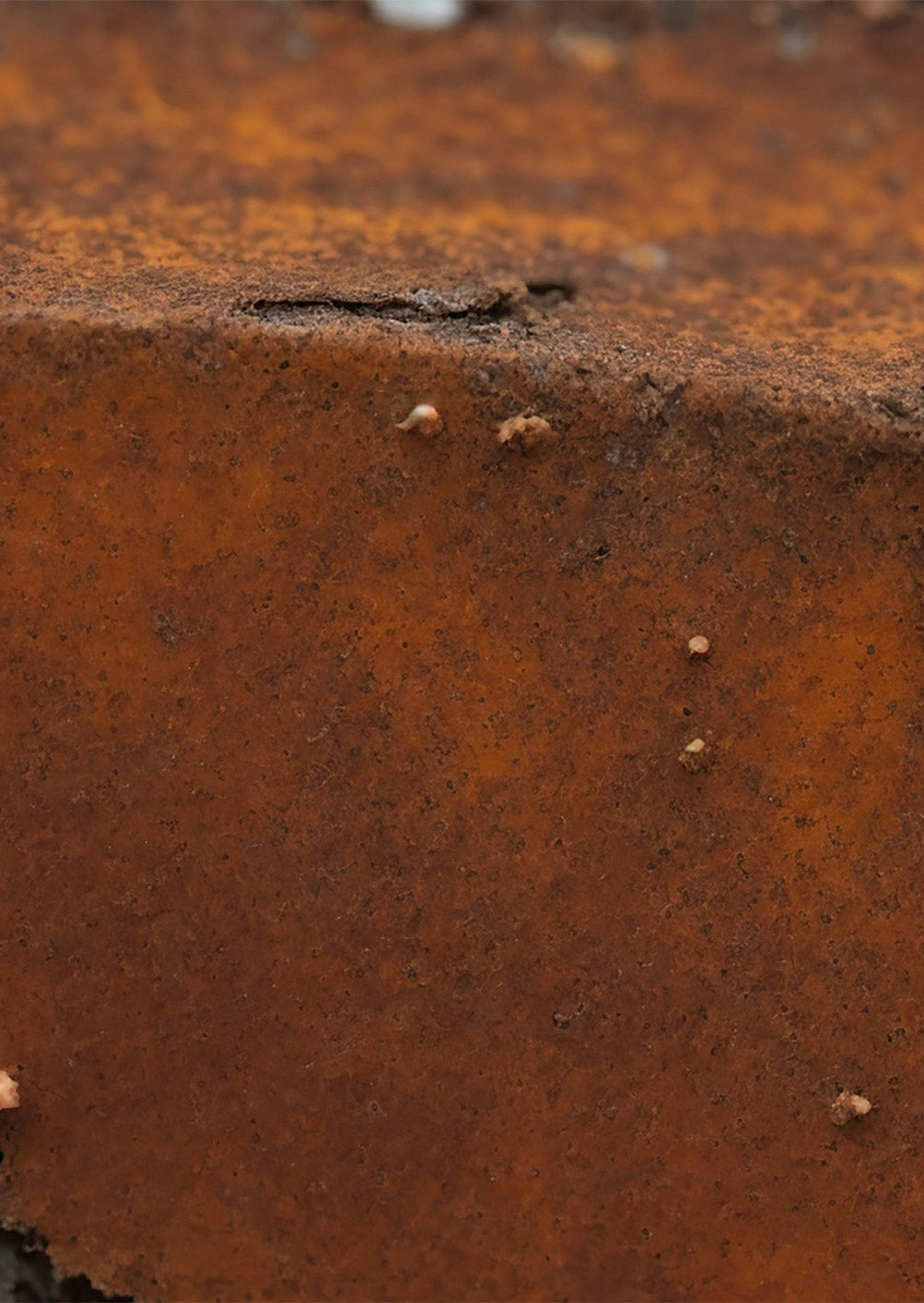Going Green with Rust Removal: A Natural Cleaning Tip That Works